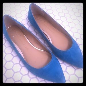 Banana Republic Teal point flats